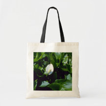 Agua-Arum amarillo (cala Palustris Var. Polysthace Bolsas De Mano