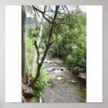 agua cerca de Sedona Posters