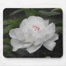 Agua Lilly Mousepad
