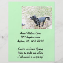 Aguardar el aviador negro del perrito tarjetas publicitarias
