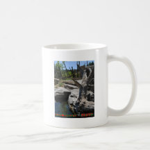 Aguas termales de Montezuma Taza De Café