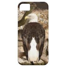 Águila calva americana iPhone 5 Case-Mate carcasas