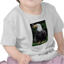 Águila calva, Sitka, Alaska, los E.E.U.U. Camiseta