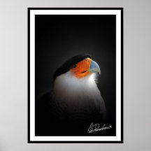 Águila del mexicano de Claude Desrochers Posters
