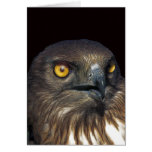 águila felicitacion 