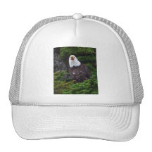 águila gorras de camionero