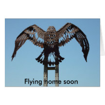 águila, volando a casa pronto tarjetas