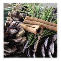 Agujas y canela del pino invitacion personalizada
