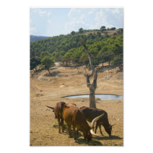 Agujero de agua fotografia