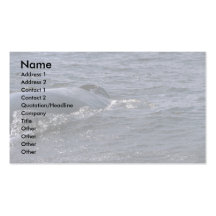 Agujero del soplo de la ballena jorobada tarjeta de negocio