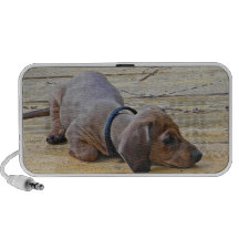 AH altavoz del perrito del perro de patas muy cort