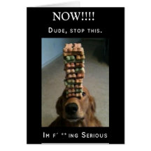 ¡Ahora!!! Trucos del perro Tarjetas