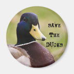 Ahorre el imán del refrigerador de los patos