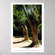 Ahorre el poster de los árboles