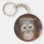 Ahorre la fauna en peligro llaveros personalizados