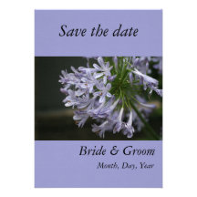 Ahorre la fecha - Agapanthus azul Invitaciones Personalizada