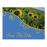 Ahorre la fecha - girasoles postales