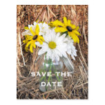 Ahorre la fecha: Margaritas y Susans observado neg Tarjetas Postales