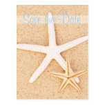 Ahorre la postal de las estrellas de mar del gemel