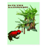 Ahorre la selva tropical postales