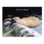 Ahorre nuestra postal del oso polar de la serie de