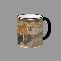 "Ahorre taza del zorro de nuestro planeta" tazas