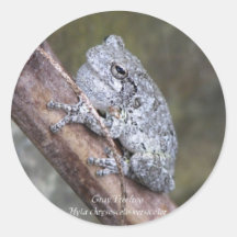 Ahorre Treefrogs gris Pegatina