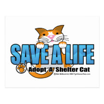 Ahorre una vida: Adopte un gato del refugio Postales