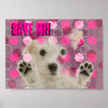 Ahórreme poster de los perros