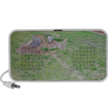 Ajardinar ideas de cubrir un tocón de árbol sistema altavoz