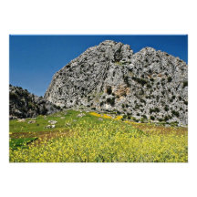 Ajardine cerca de Ronda, Andalucía, flores de Espa Comunicados