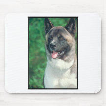 Akita Tapete De Ratones