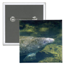 Al oeste Manatee-respiración del indio (la Florida Pin