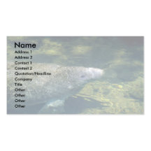 Al oeste Manatee-respiración del indio (la Florida Plantillas De Tarjetas De Visita