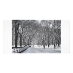 Alameda B&W del Central Park Plantilla Para Tarjeta De Foto