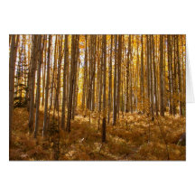 álamo temblón trees_23 tarjetas