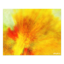 Álamos tembloses del otoño foto