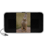 Alarma Notebook Altavoces