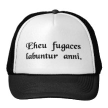 Alas, el resbalón efímero de los años cerca gorro de camionero