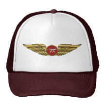 Alas experimentales de Shriners Gorras