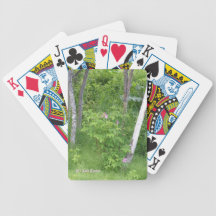 Alaska subió #16 baraja cartas de poker