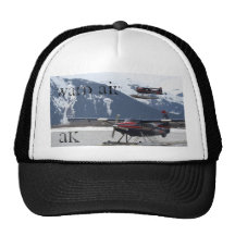 Alaska, viejo estilo de Skool Gorras