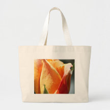 Albaricoque subió bolsa
