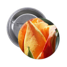 Albaricoque subió pin