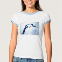 albatros camisetas