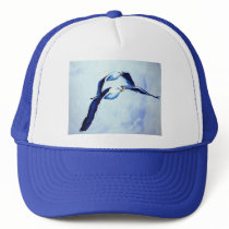 Albatros gorras