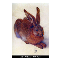 Albrecht Durer - poster de las liebres del campo posters
