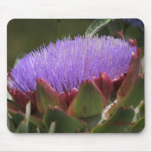 Alcachofa en la floración tapetes de ratones
