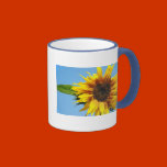 Alcance del girasol tazas