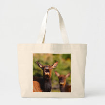 Alces Bolsa